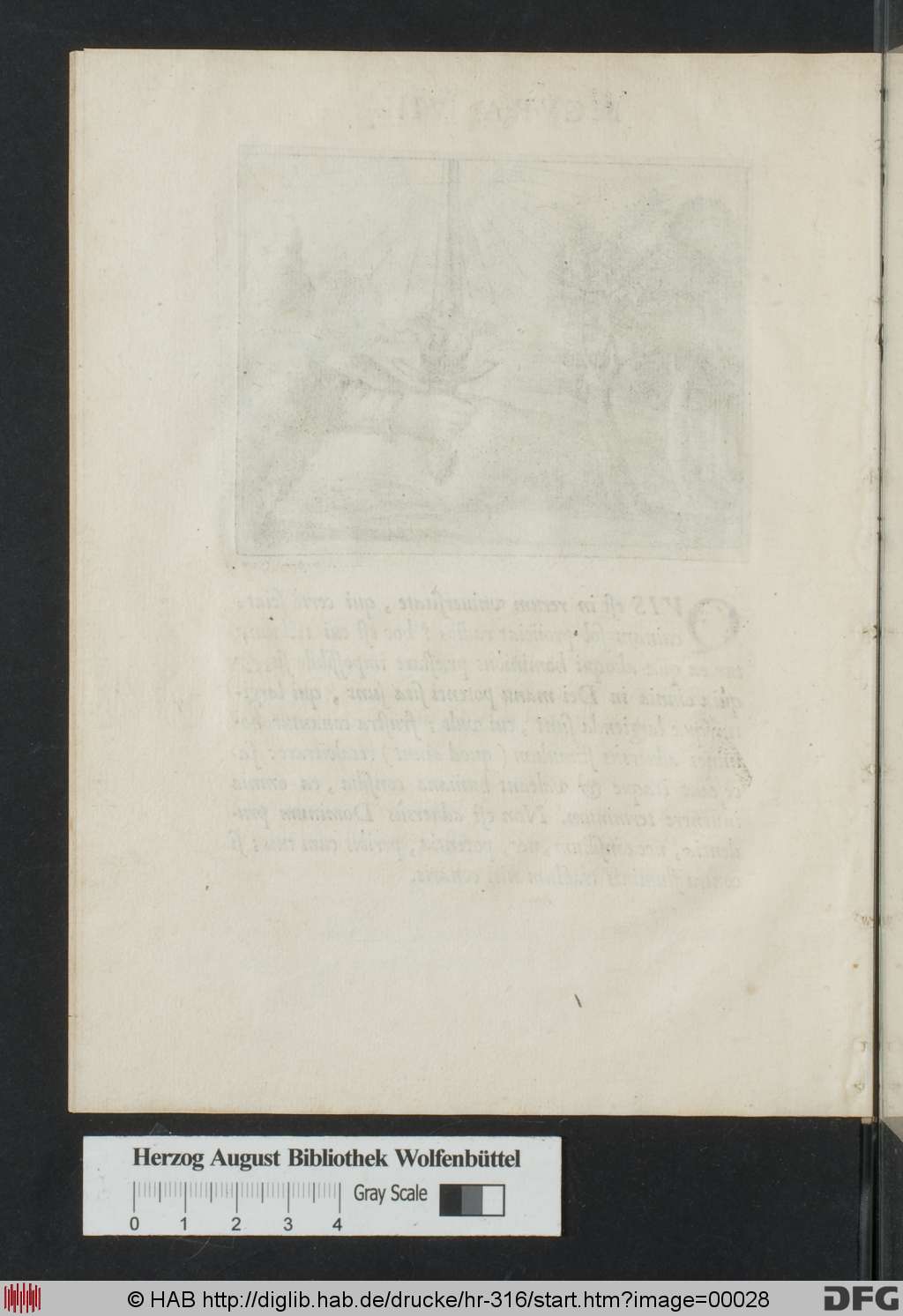 http://diglib.hab.de/drucke/hr-316/00028.jpg