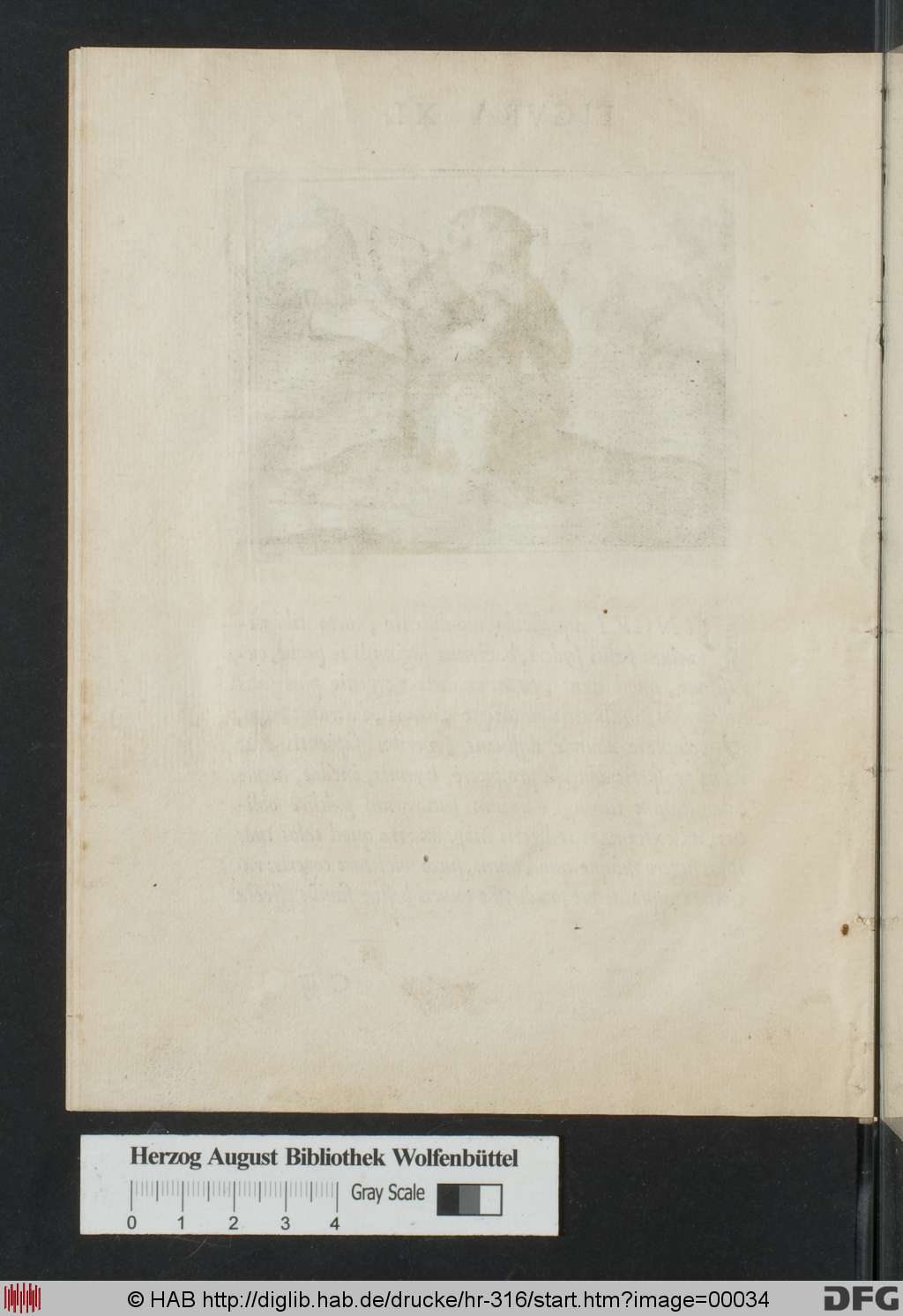 http://diglib.hab.de/drucke/hr-316/00034.jpg