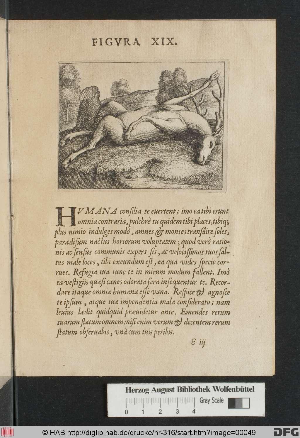 http://diglib.hab.de/drucke/hr-316/00049.jpg