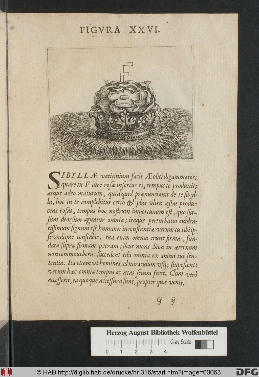 http://diglib.hab.de/drucke/hr-316/00063.jpg