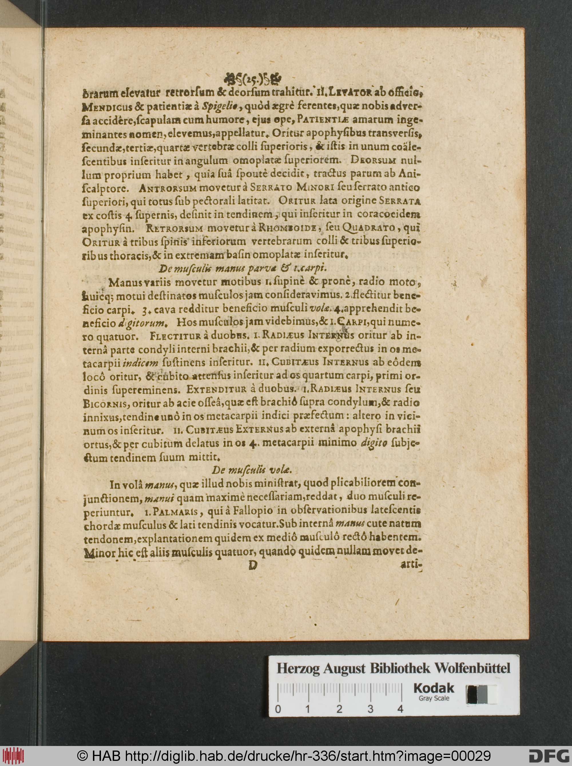 http://diglib.hab.de/drucke/hr-336/max/00029.jpg