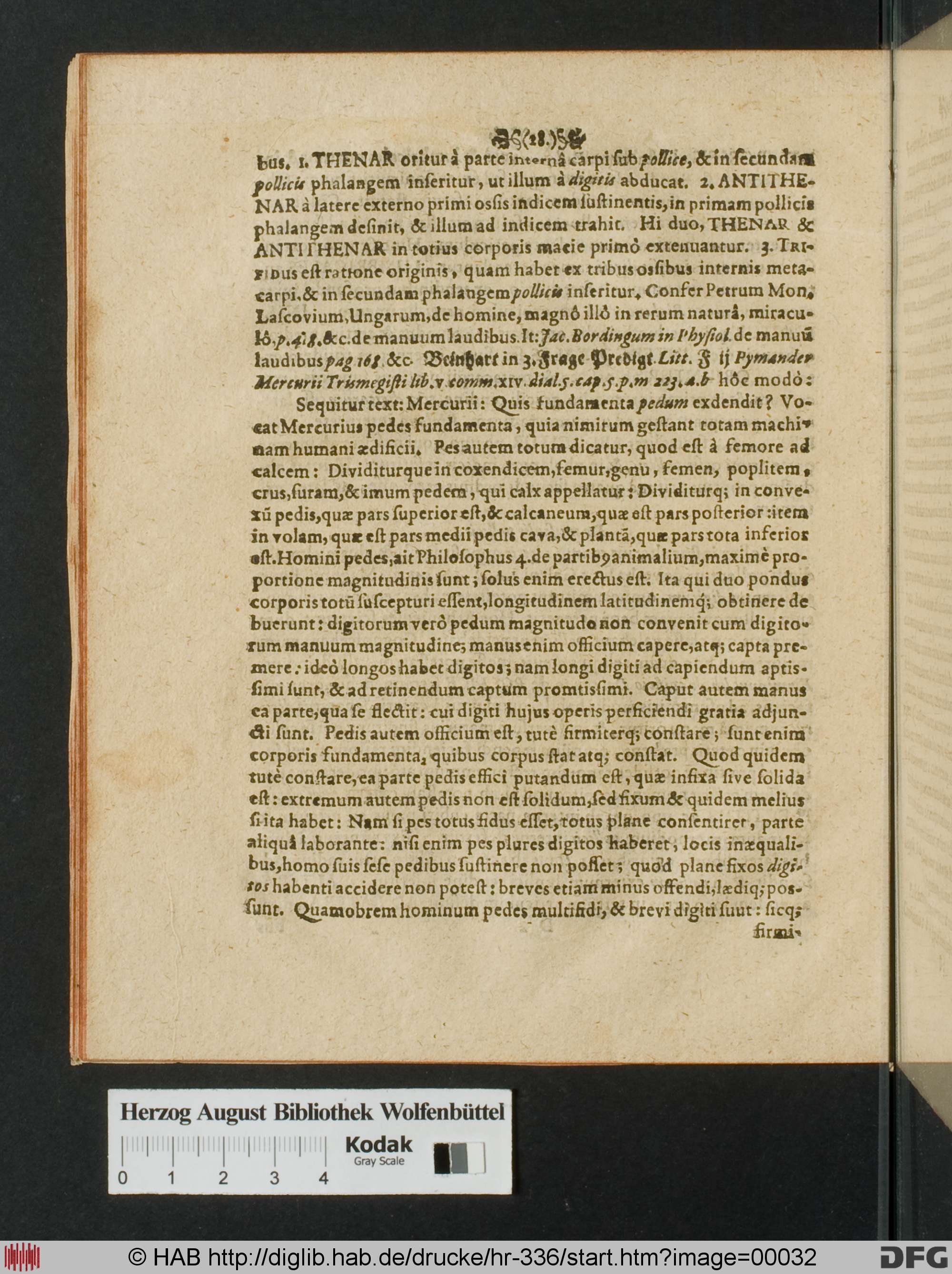 http://diglib.hab.de/drucke/hr-336/max/00032.jpg