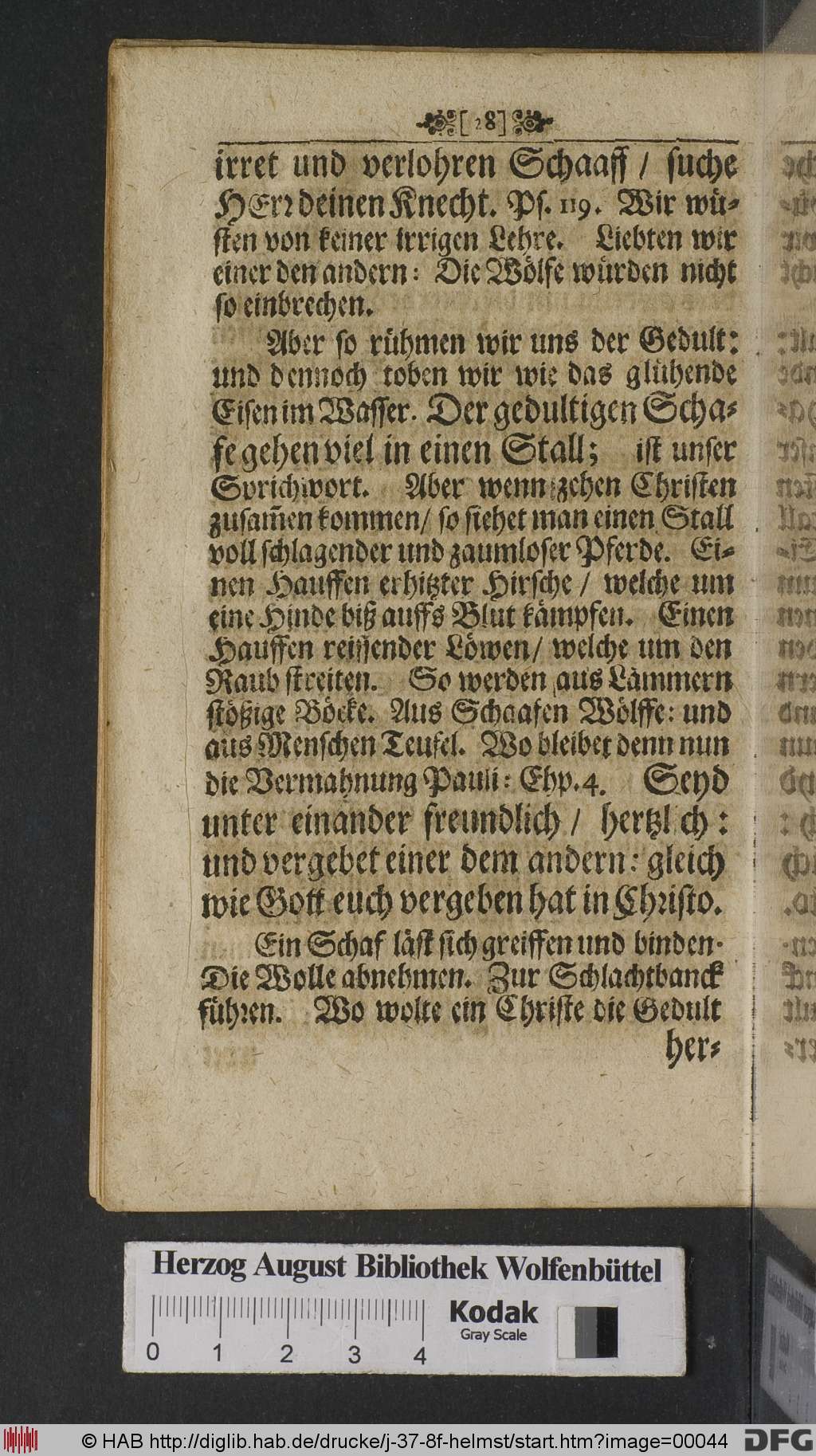 http://diglib.hab.de/drucke/j-37-8f-helmst/00044.jpg