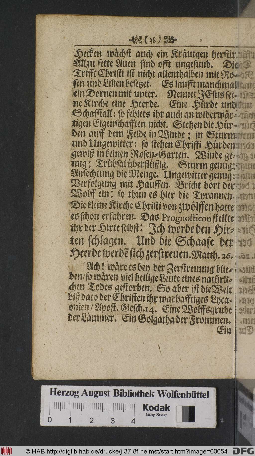 http://diglib.hab.de/drucke/j-37-8f-helmst/00054.jpg