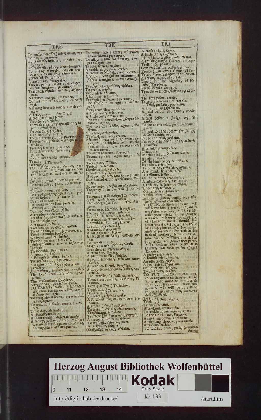 http://diglib.hab.de/drucke/kb-133/00379.jpg