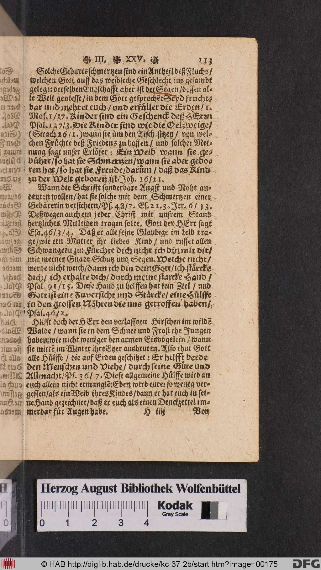 http://diglib.hab.de/drucke/kc-37-2b/00175.jpg