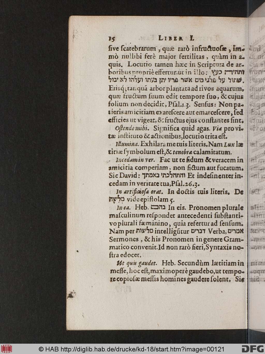 http://diglib.hab.de/drucke/kd-18/00121.jpg