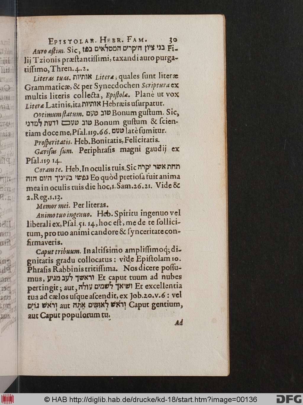 http://diglib.hab.de/drucke/kd-18/00136.jpg