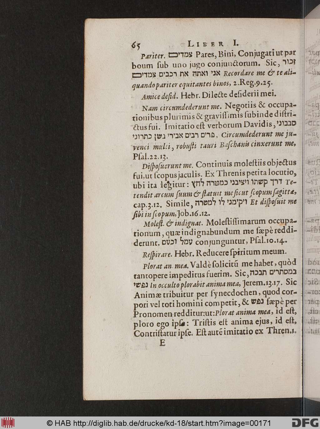http://diglib.hab.de/drucke/kd-18/00171.jpg
