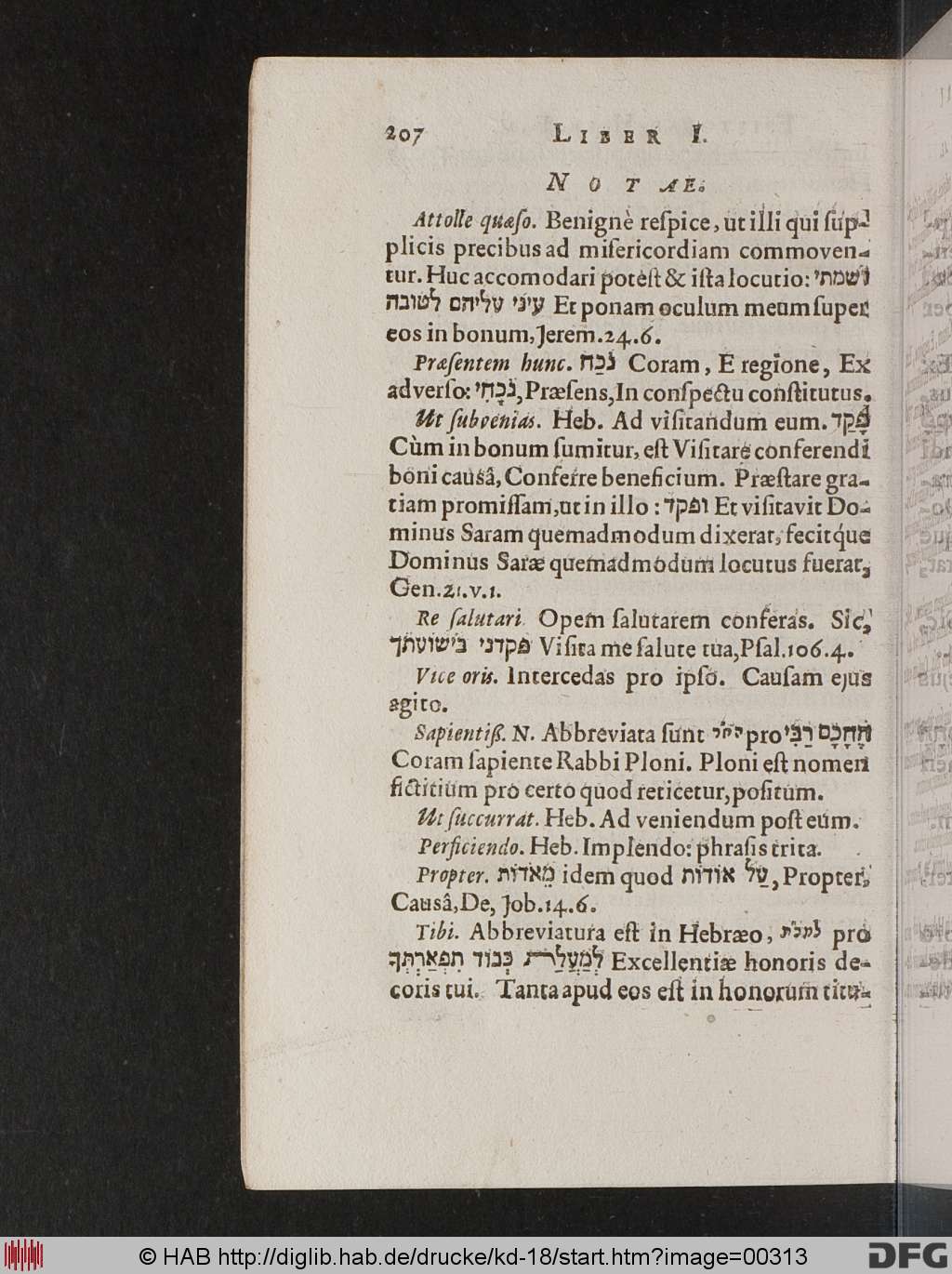 http://diglib.hab.de/drucke/kd-18/00313.jpg