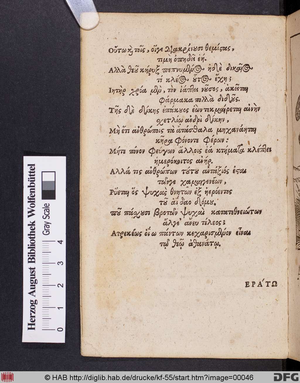 http://diglib.hab.de/drucke/kf-55/00046.jpg