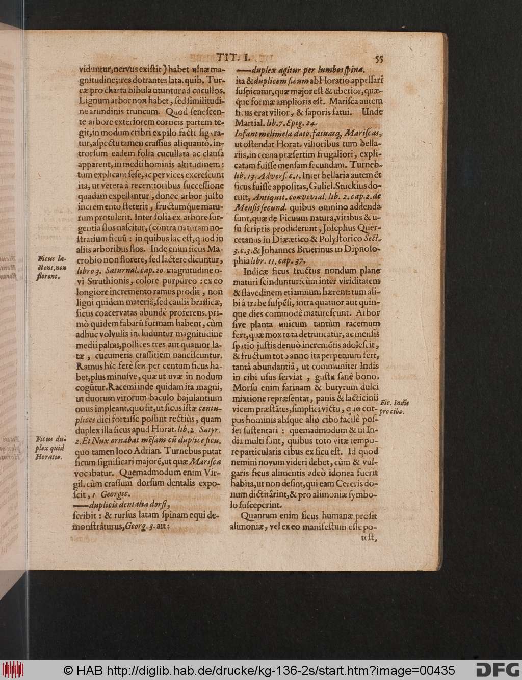 http://diglib.hab.de/drucke/kg-136-2s/00435.jpg