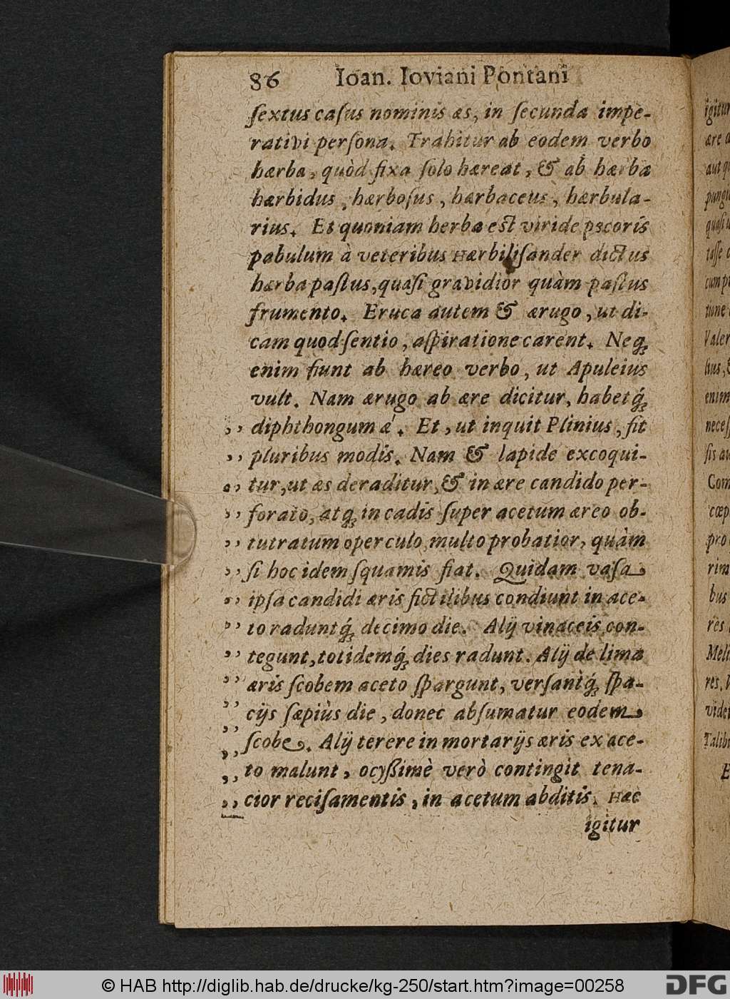 http://diglib.hab.de/drucke/kg-250/00258.jpg