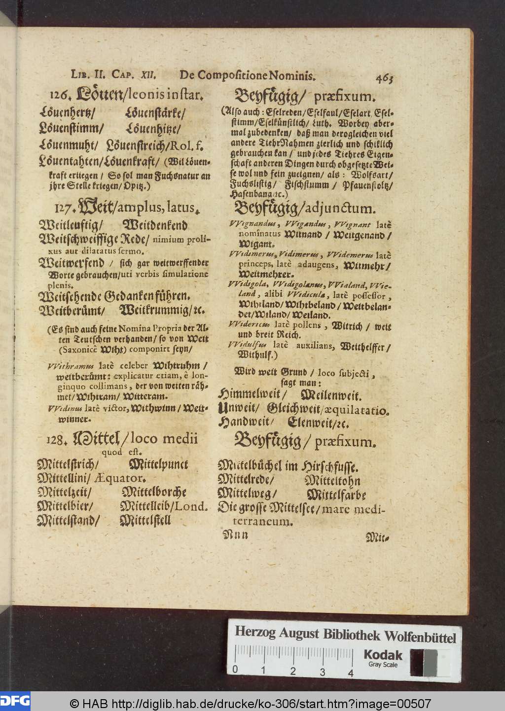 http://diglib.hab.de/drucke/ko-306/00507.jpg