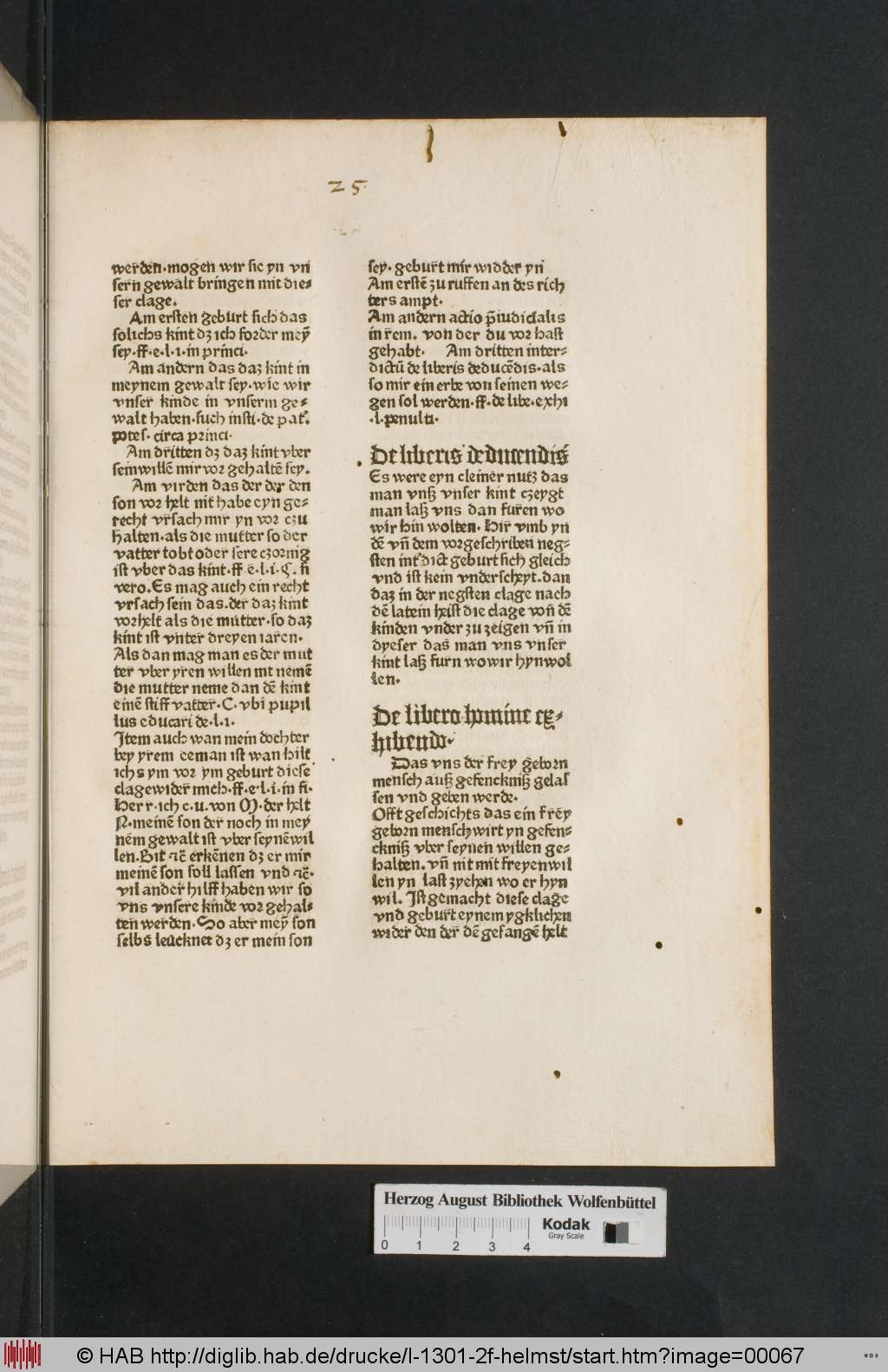 http://diglib.hab.de/drucke/l-1301-2f-helmst/00067.jpg