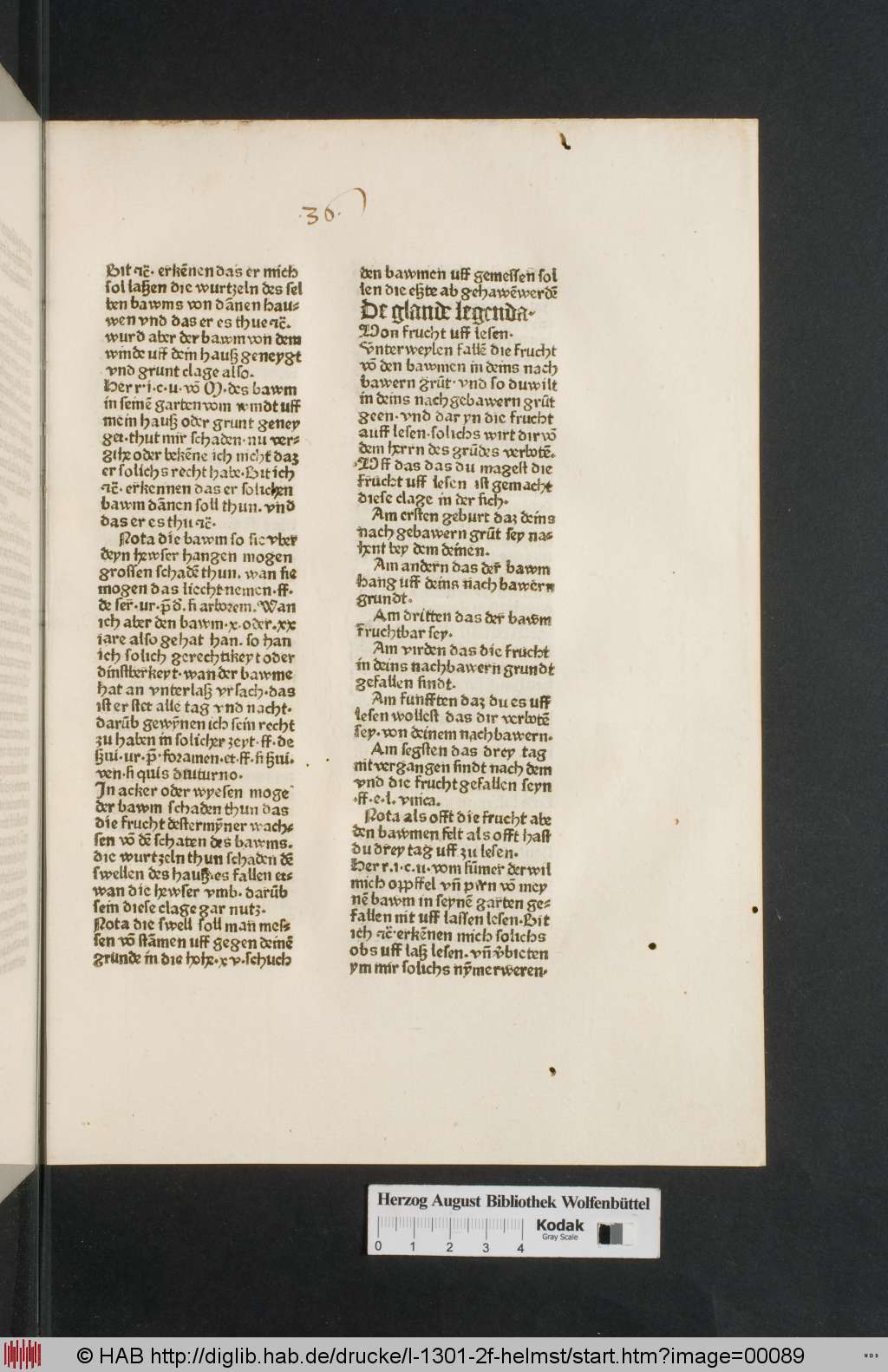 http://diglib.hab.de/drucke/l-1301-2f-helmst/00089.jpg