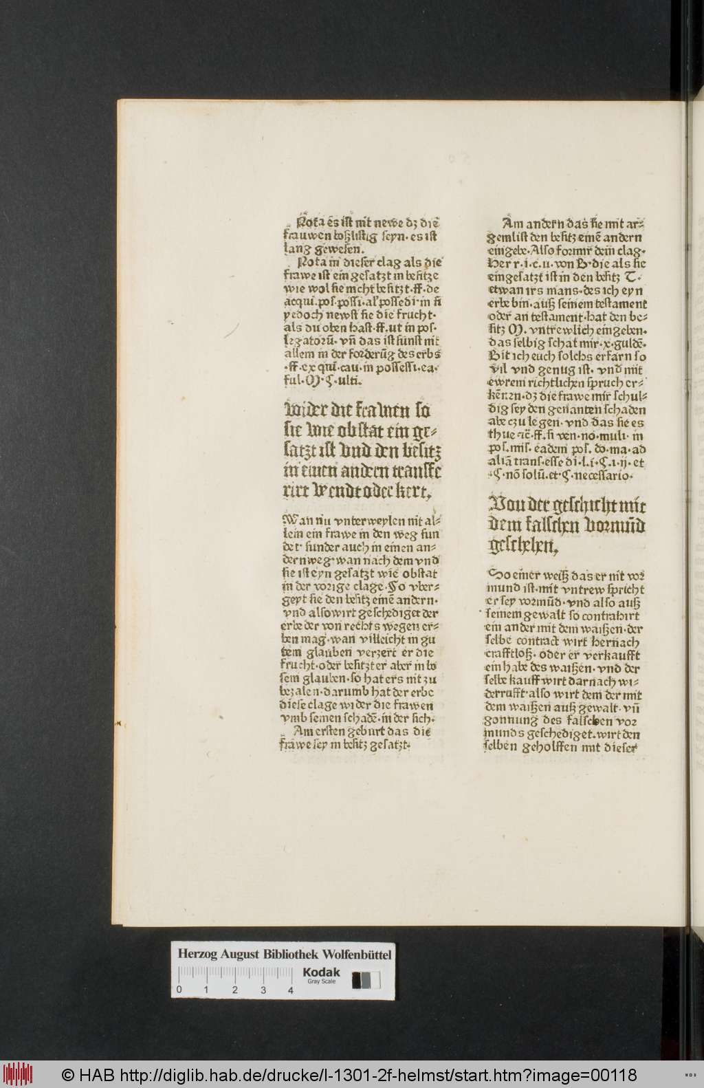 http://diglib.hab.de/drucke/l-1301-2f-helmst/00118.jpg