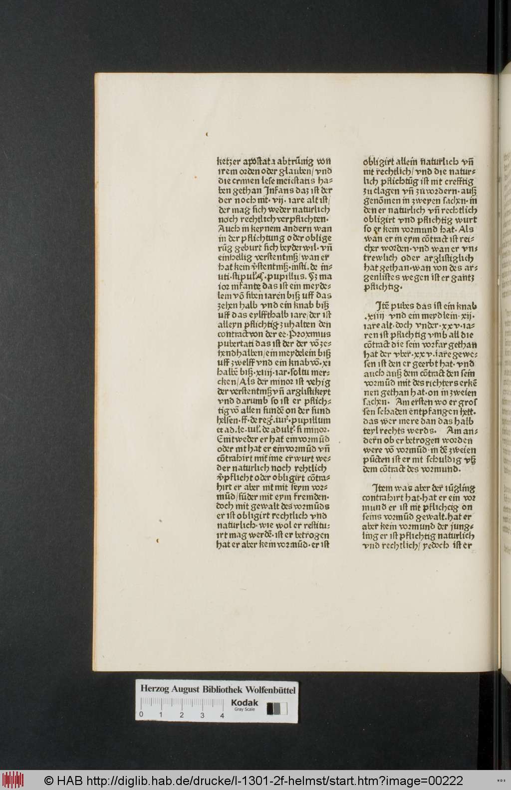 http://diglib.hab.de/drucke/l-1301-2f-helmst/00222.jpg