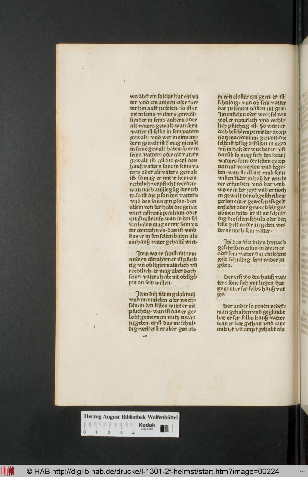 http://diglib.hab.de/drucke/l-1301-2f-helmst/00224.jpg