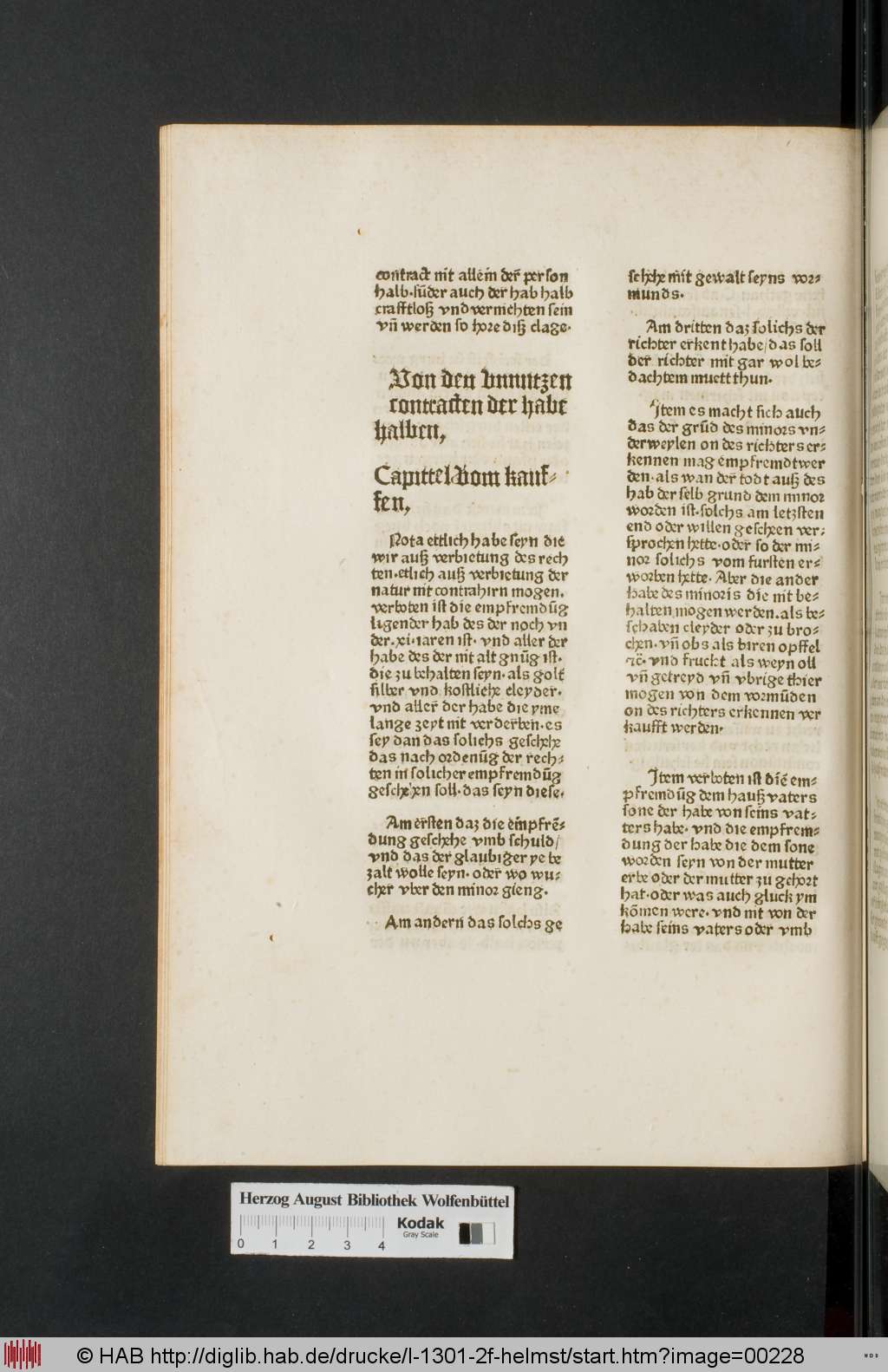 http://diglib.hab.de/drucke/l-1301-2f-helmst/00228.jpg