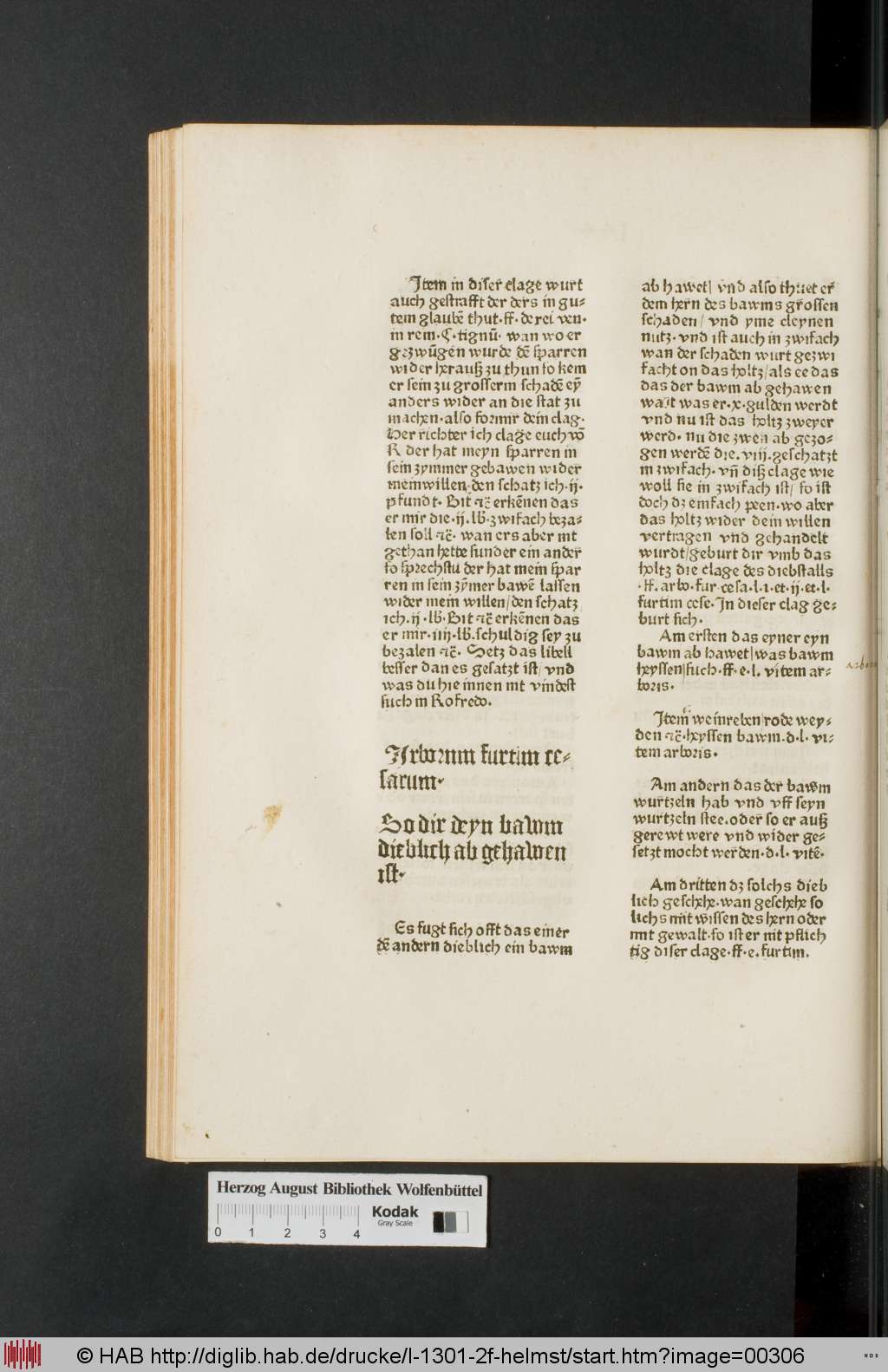 http://diglib.hab.de/drucke/l-1301-2f-helmst/00306.jpg