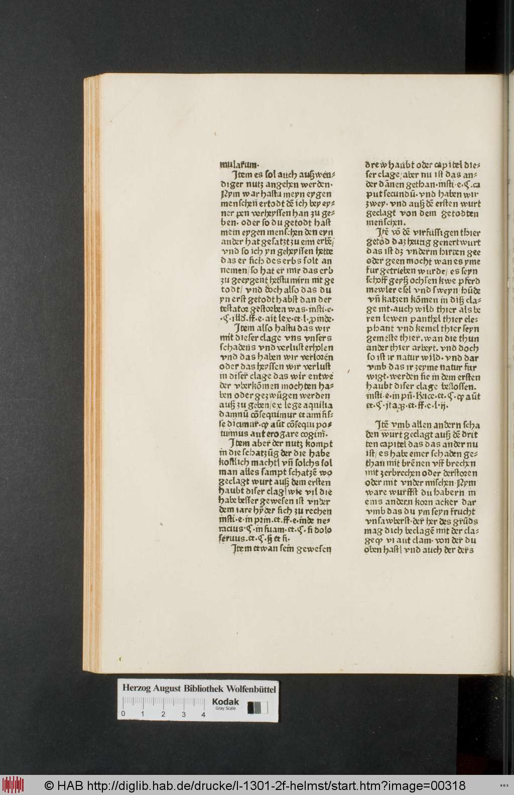 http://diglib.hab.de/drucke/l-1301-2f-helmst/00318.jpg