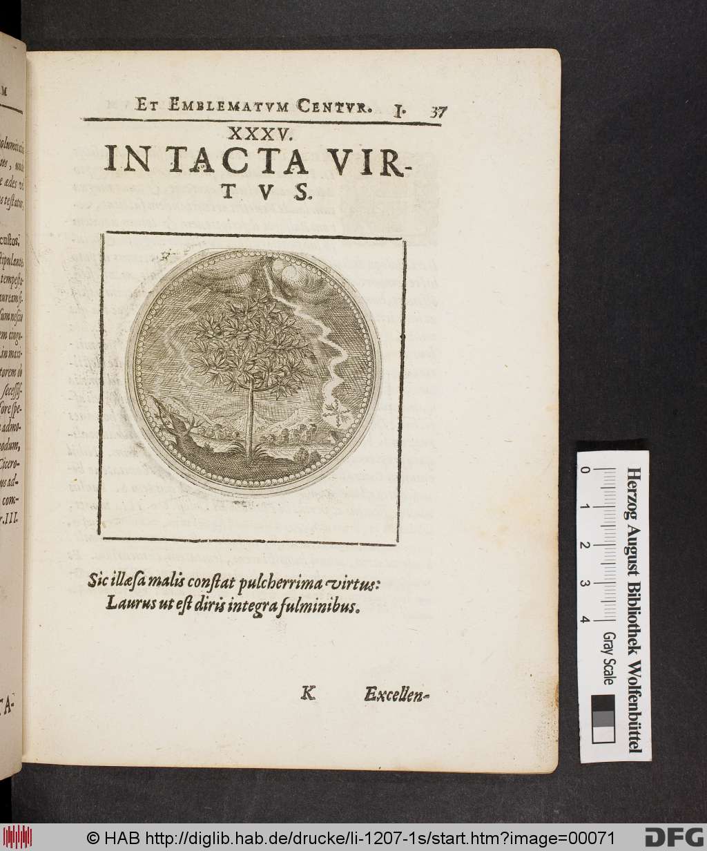 http://diglib.hab.de/drucke/li-1207-1s/00071.jpg