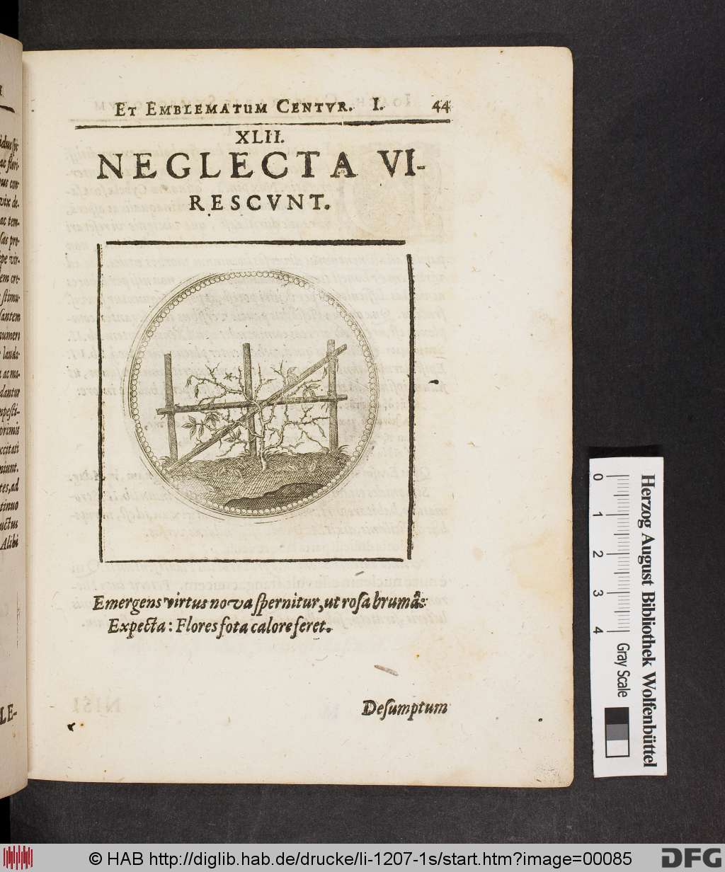 http://diglib.hab.de/drucke/li-1207-1s/00085.jpg