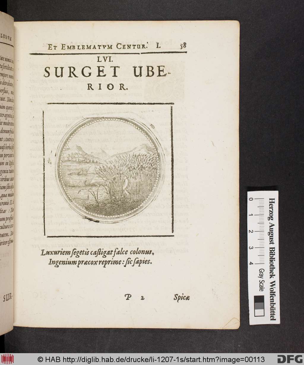 http://diglib.hab.de/drucke/li-1207-1s/00113.jpg