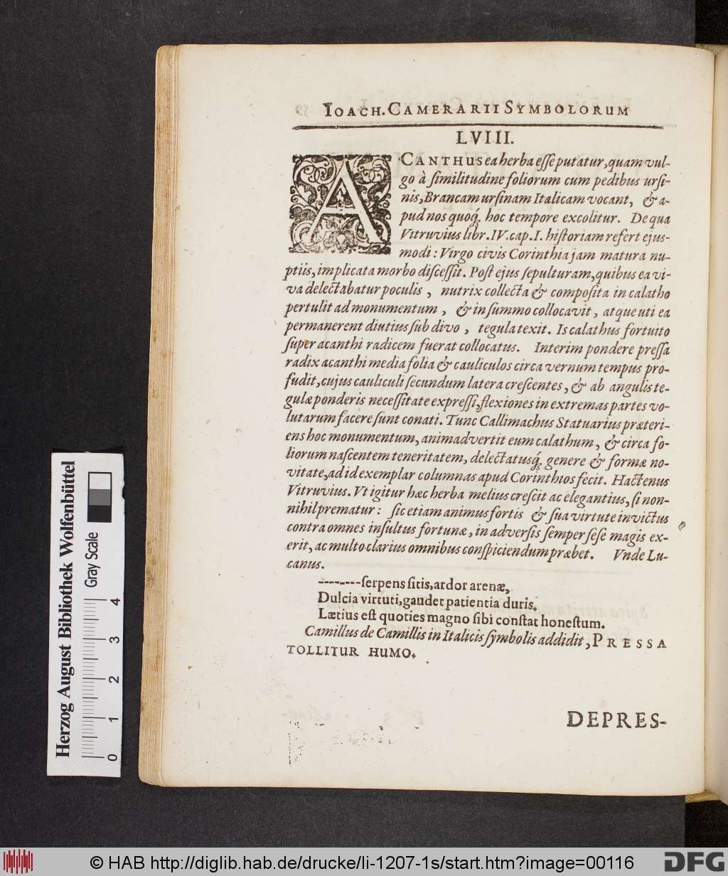 http://diglib.hab.de/drucke/li-1207-1s/00116.jpg