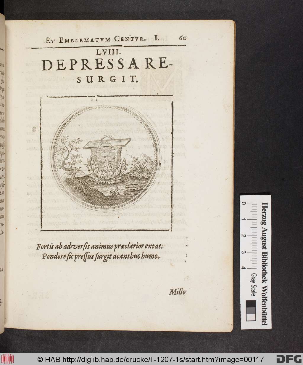 http://diglib.hab.de/drucke/li-1207-1s/00117.jpg