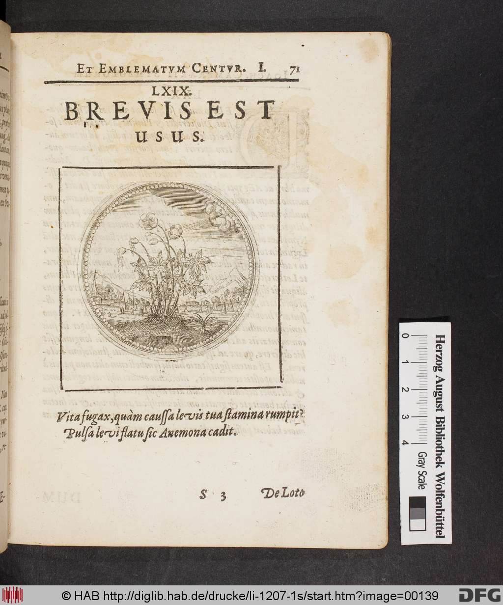 http://diglib.hab.de/drucke/li-1207-1s/00139.jpg