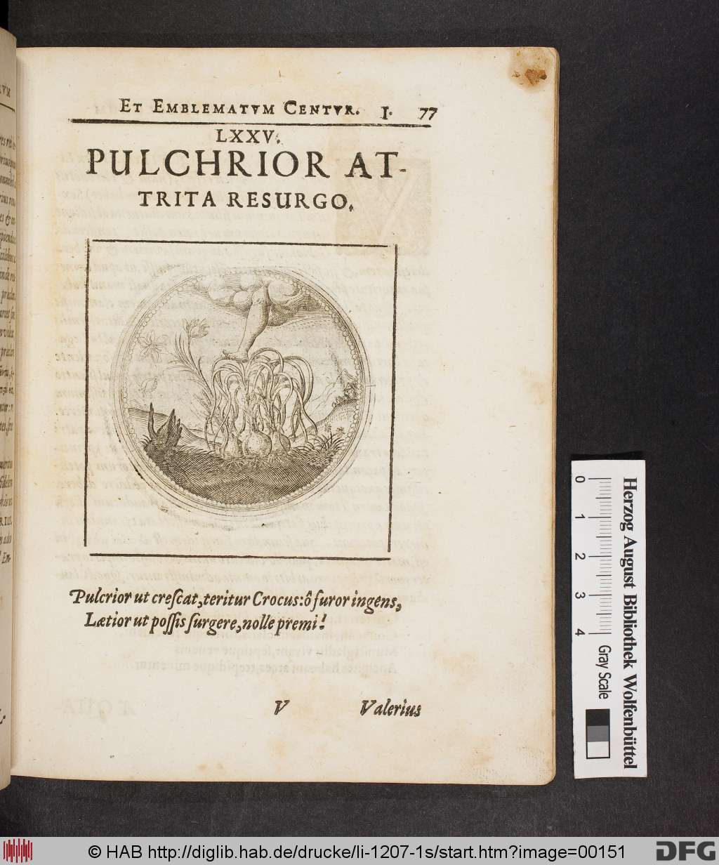 http://diglib.hab.de/drucke/li-1207-1s/00151.jpg