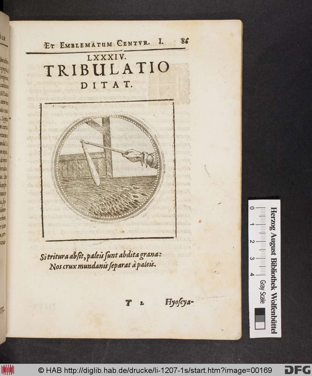 http://diglib.hab.de/drucke/li-1207-1s/00169.jpg