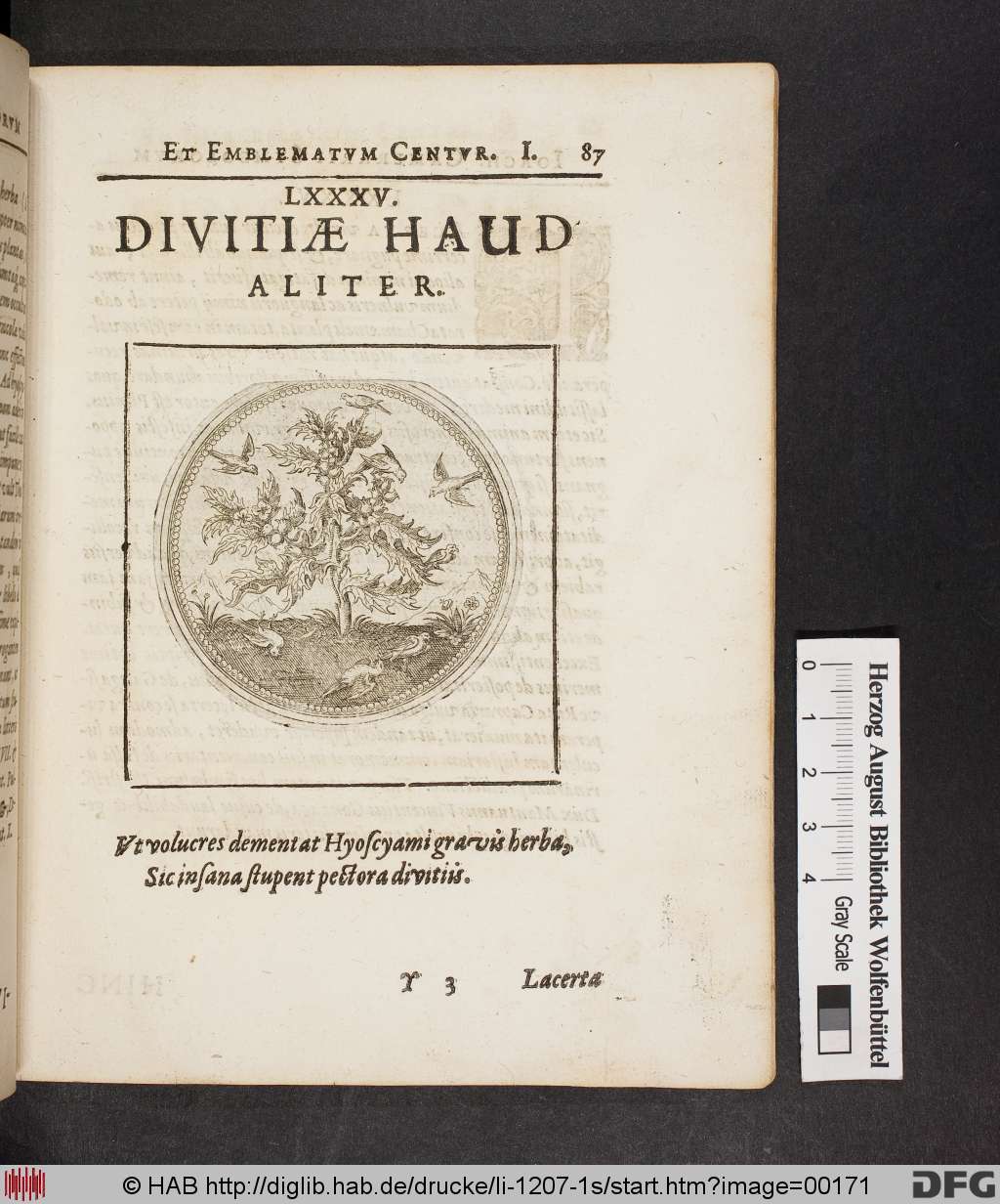 http://diglib.hab.de/drucke/li-1207-1s/00171.jpg