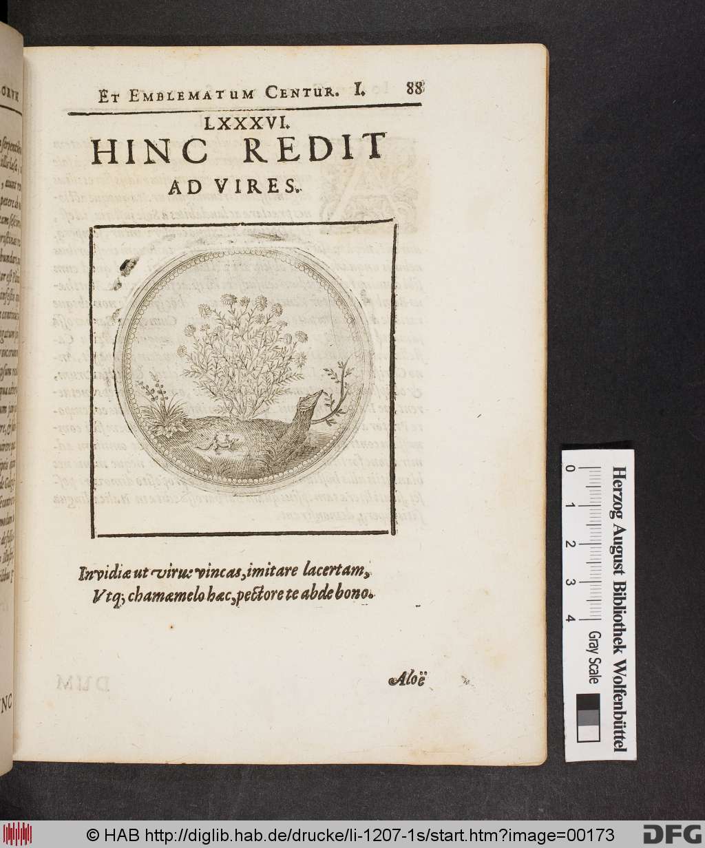 http://diglib.hab.de/drucke/li-1207-1s/00173.jpg