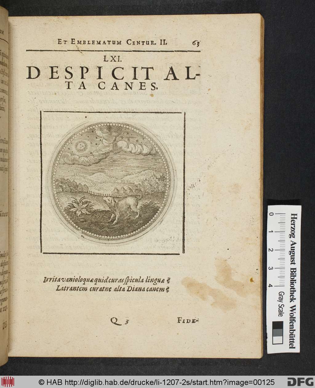 http://diglib.hab.de/drucke/li-1207-2s/00125.jpg