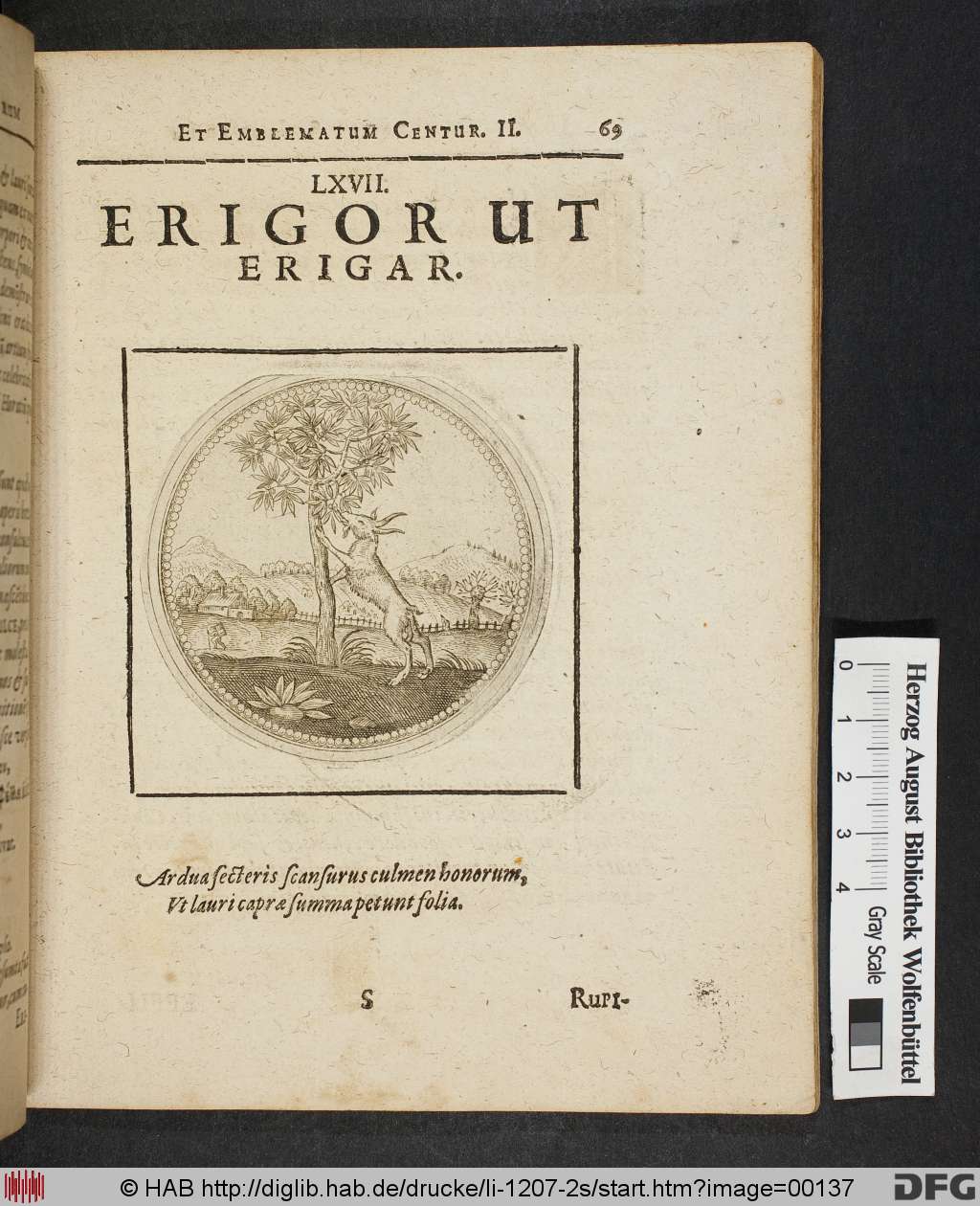 http://diglib.hab.de/drucke/li-1207-2s/00137.jpg