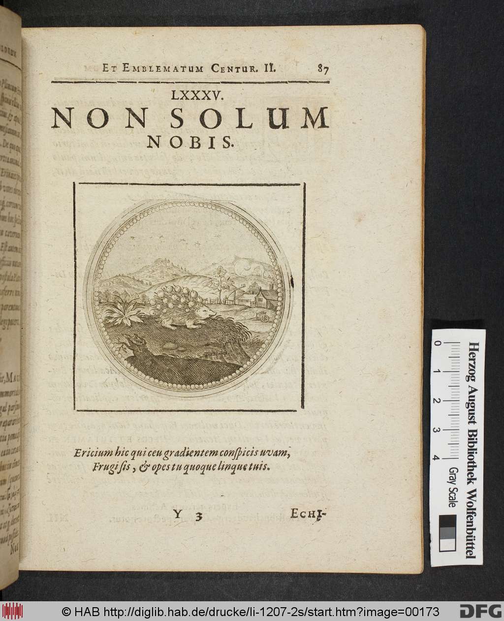 http://diglib.hab.de/drucke/li-1207-2s/00173.jpg