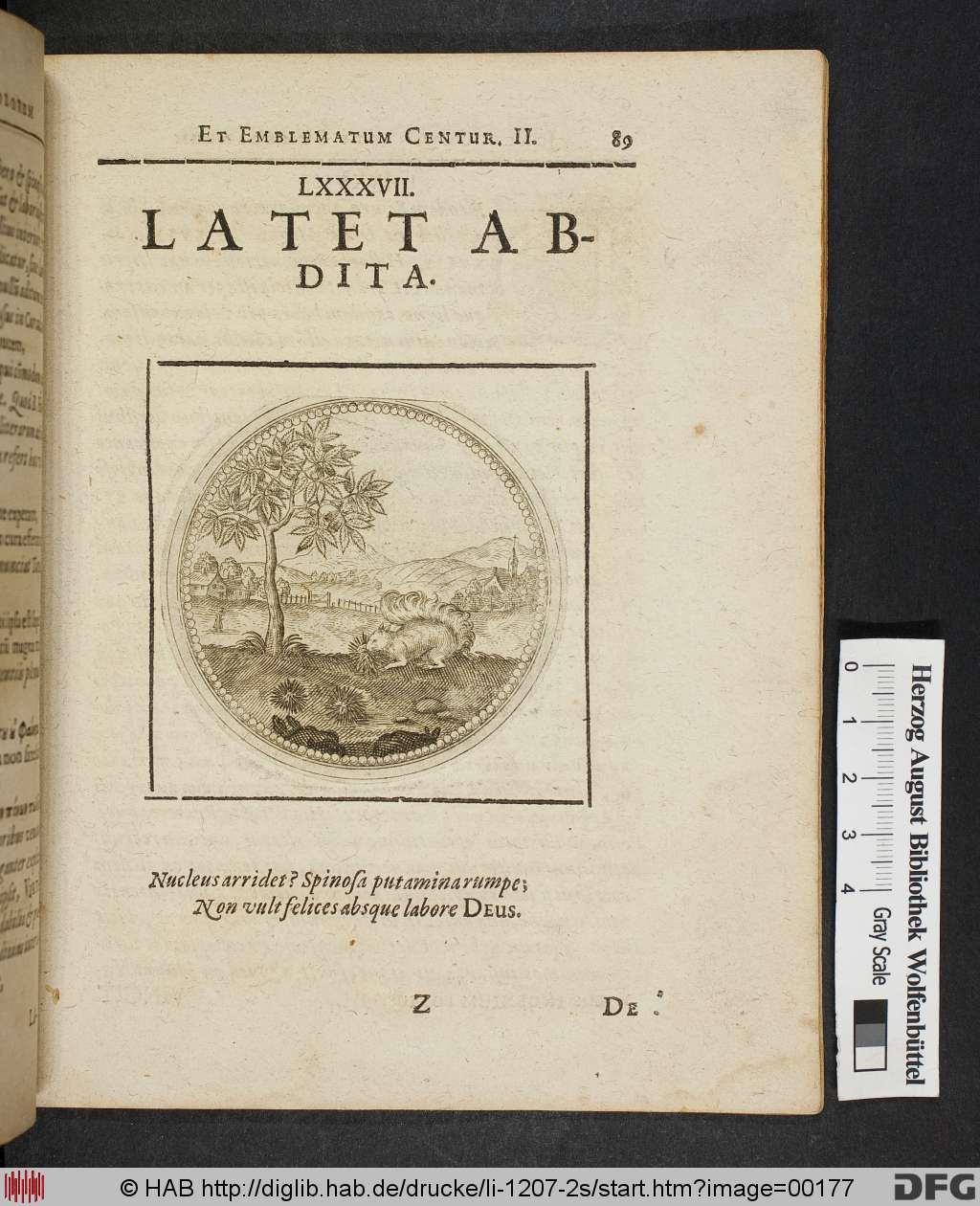 http://diglib.hab.de/drucke/li-1207-2s/00177.jpg