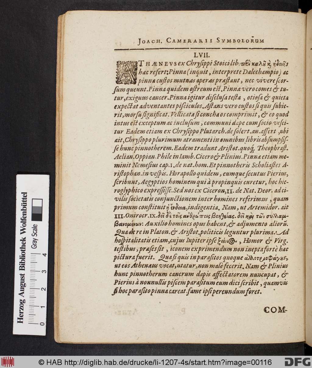 http://diglib.hab.de/drucke/li-1207-4s/00116.jpg