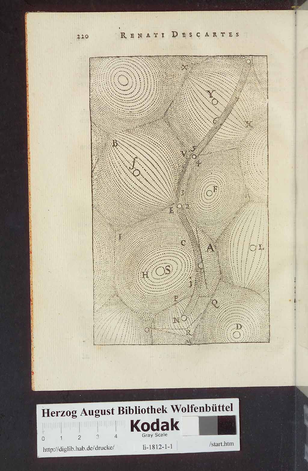 http://diglib.hab.de/drucke/li-1812-1-1/00232.jpg