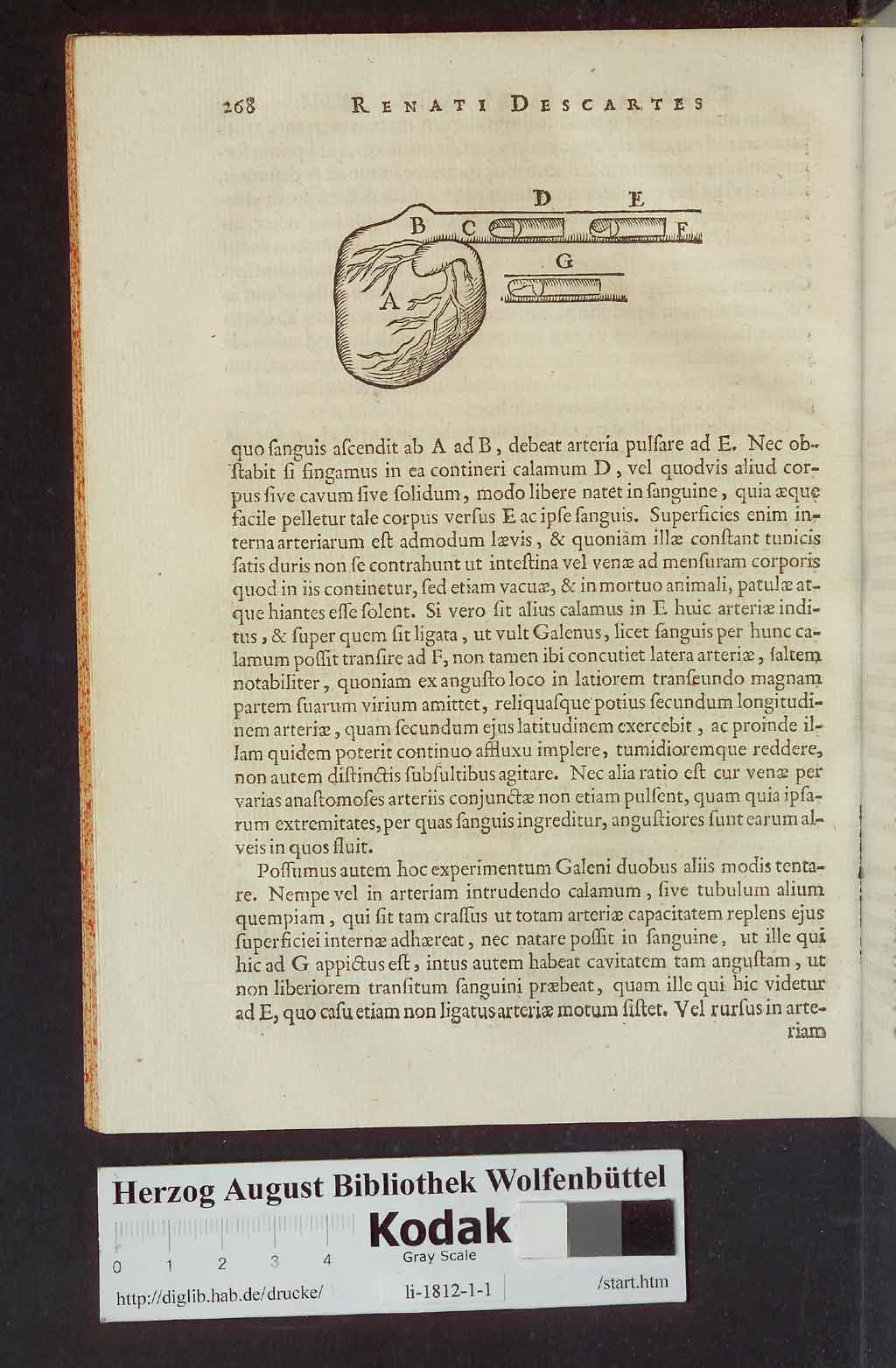 http://diglib.hab.de/drucke/li-1812-1-1/00280.jpg
