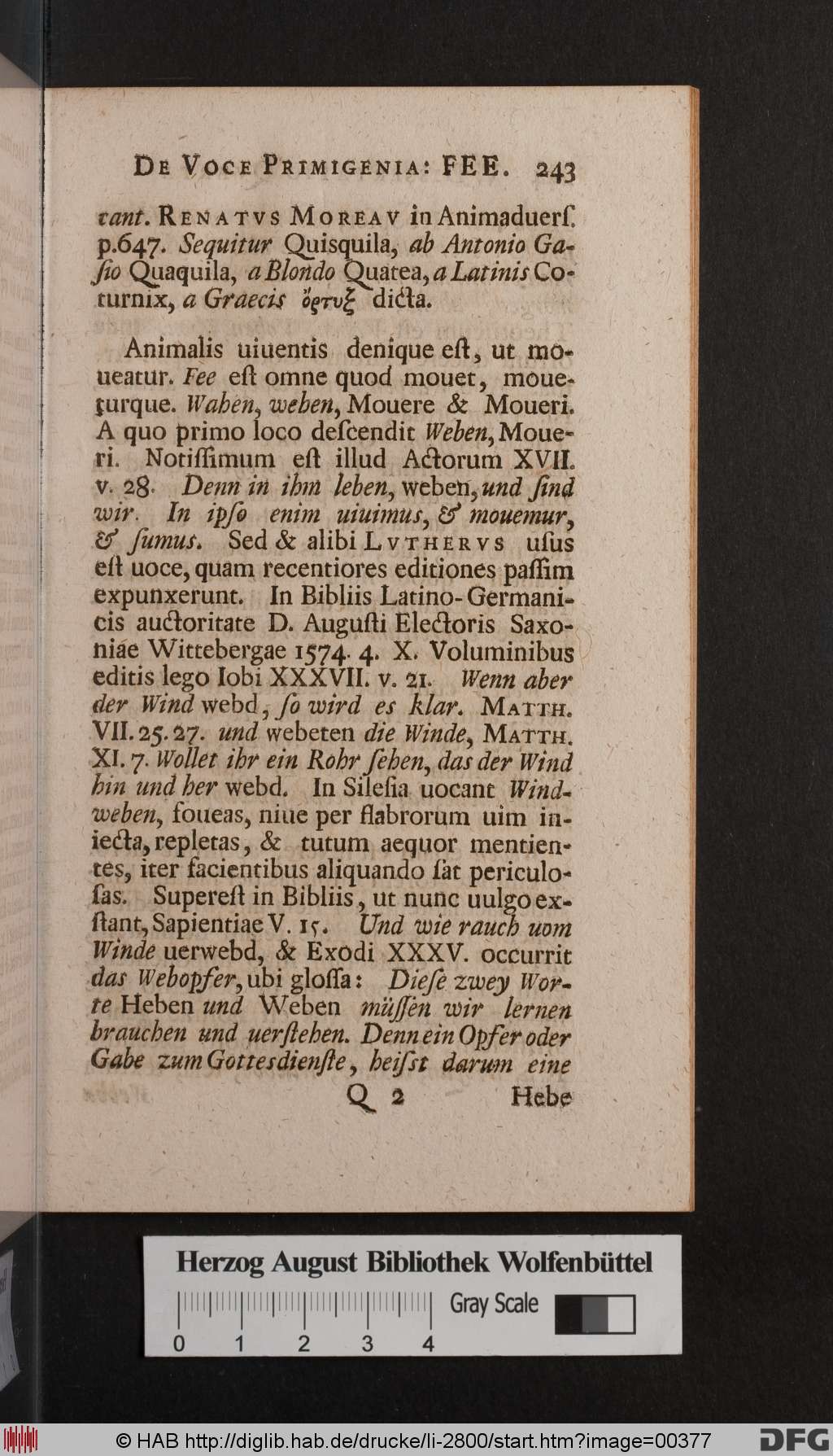 http://diglib.hab.de/drucke/li-2800/00377.jpg