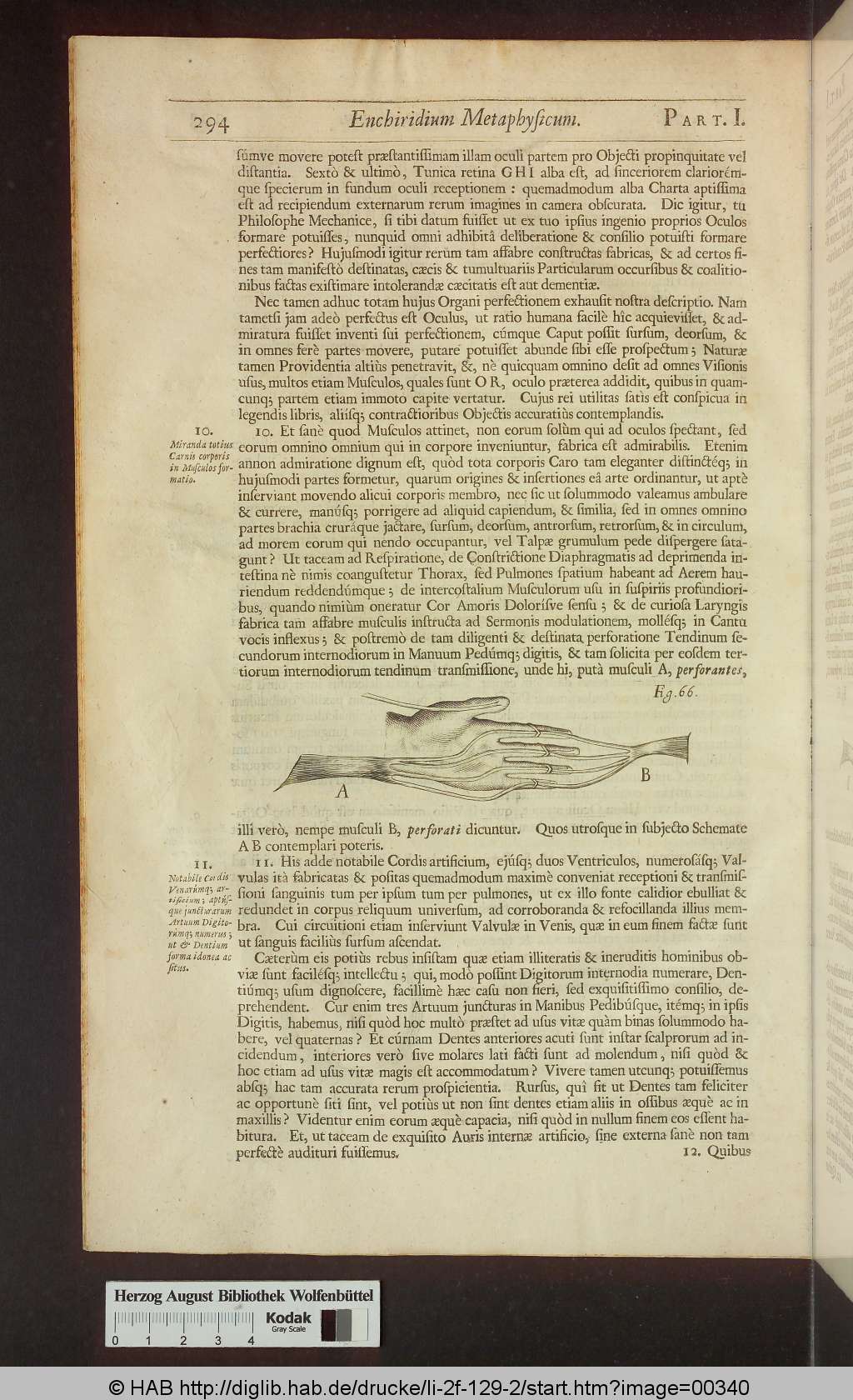 http://diglib.hab.de/drucke/li-2f-129-2/00340.jpg
