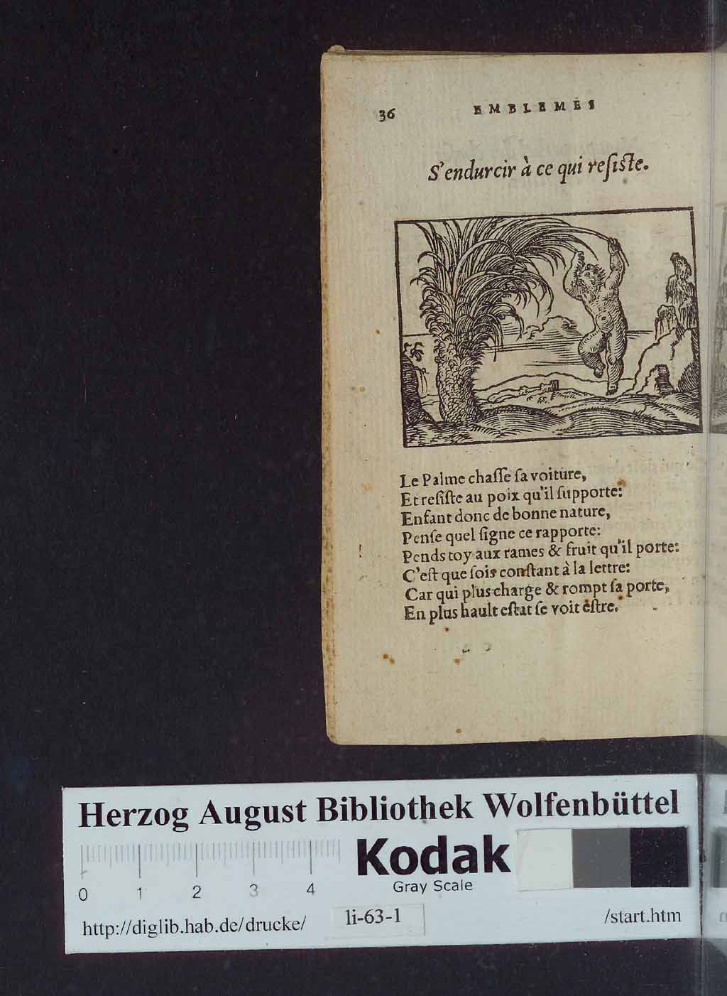 http://diglib.hab.de/drucke/li-63-1/00040.jpg