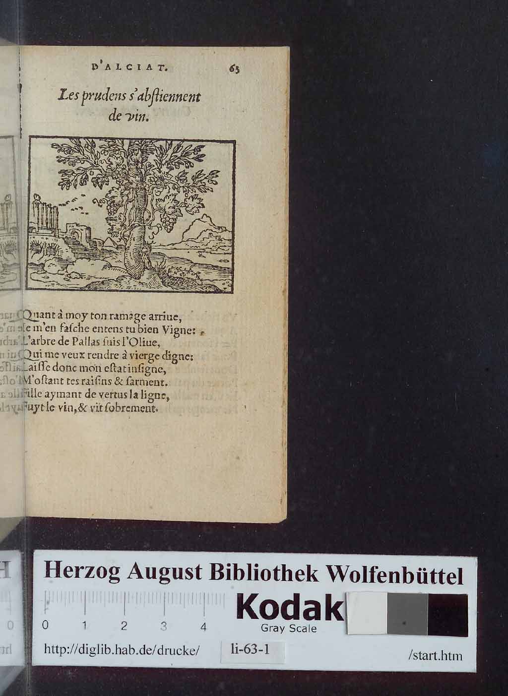 http://diglib.hab.de/drucke/li-63-1/00063.jpg