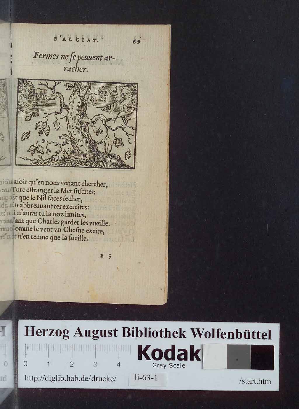 http://diglib.hab.de/drucke/li-63-1/00073.jpg
