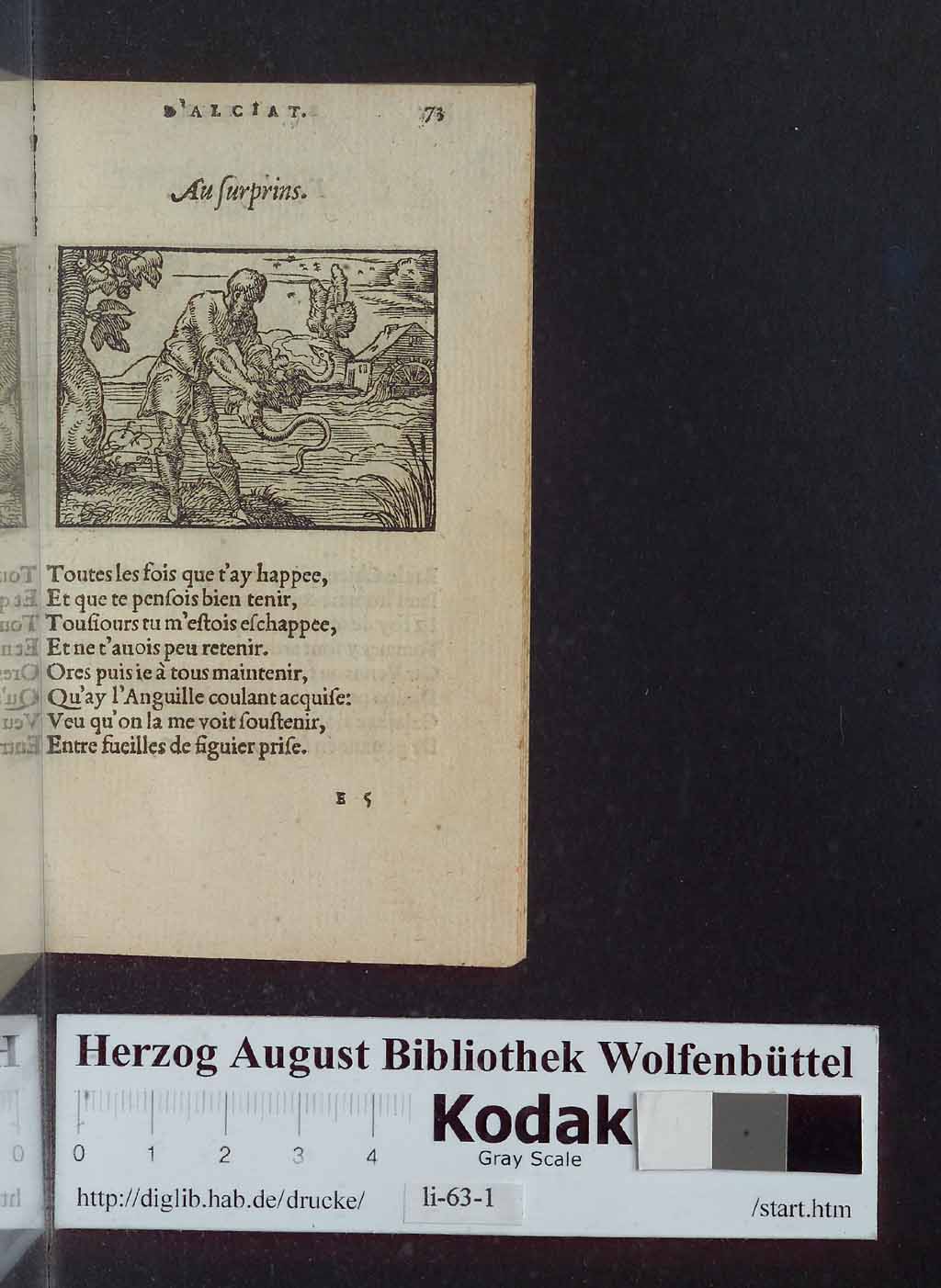 http://diglib.hab.de/drucke/li-63-1/00077.jpg