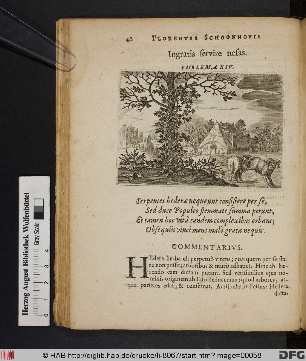 http://diglib.hab.de/drucke/li-8067/00058.jpg